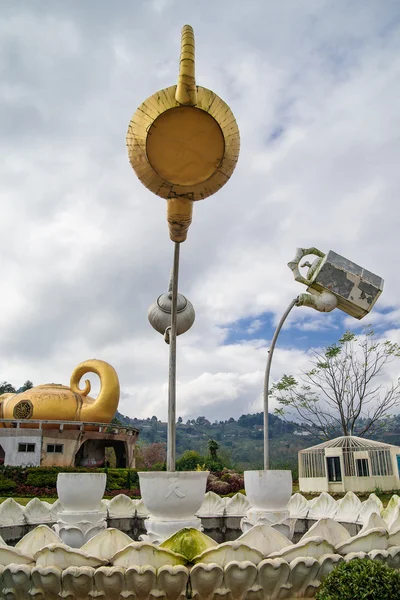 Macetas de té en la plantación de té en Mae Salong, norte de Tailandia — Foto de Stock