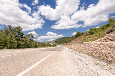 çam ve Türkiye'nin Ege bölgesinde bulutlu gökyüzü olan yol