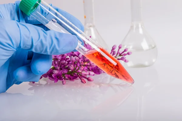 analiz için tüp eldivenli elini tutun. bilimsel araştırma için plastik laboratuvar donatımı.