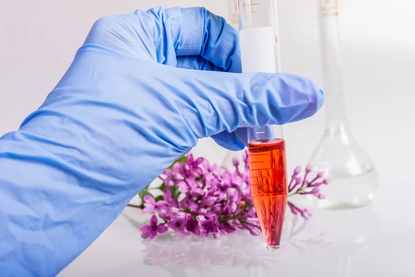 Extraction of natural ingredients in perfumery.  Labware tubes and Petri dishes. — Stock Photo, Image