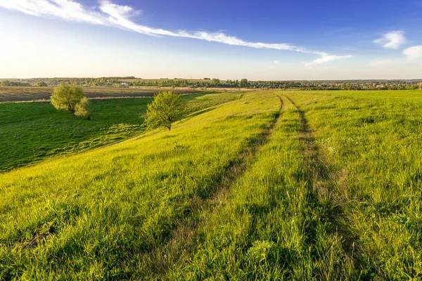 Landscape with blue sky and fields — Stock Photo, Image