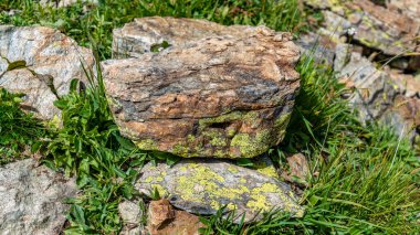 Dağın tepesindeki çimlerde ıssız taşlar var..