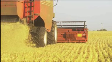 Kuzey Kafkasya 'daki dağ nehri ve yaz gökyüzü. Su vadi boyunca akıyor..