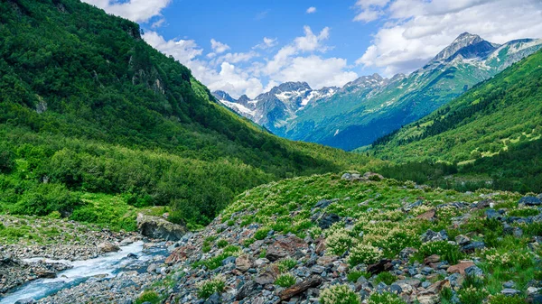 Une Rivière Qui Coule Glacier Dans Une Gorge Montagne Paysage — Photo