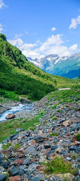 River Flowing Out Glacier Mountain Gorge Mountain River Caucasus Picturesque — стокове фото