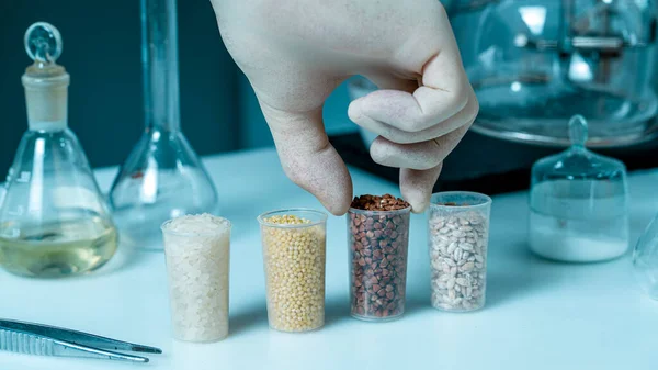 Healthy food concept. Assistant in the laboratory for food quality control of cereals. Various varieties of cereals in a food laboratory. — Fotografia de Stock