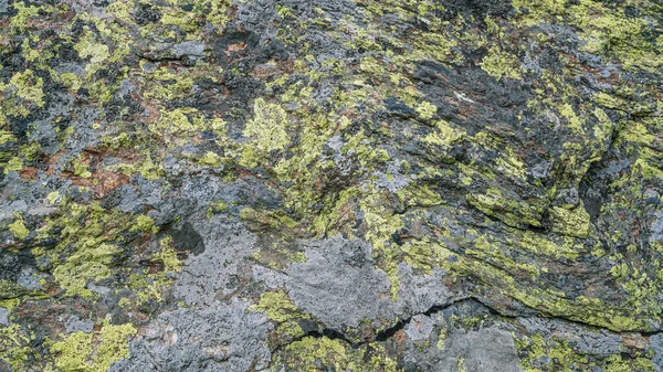 Surface Stone Gray Tinge Background — Stock Photo, Image