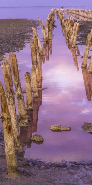 Pembe su, tuz lekeleri ve sütunlarıyla Sasyk-Sivash Gölü.