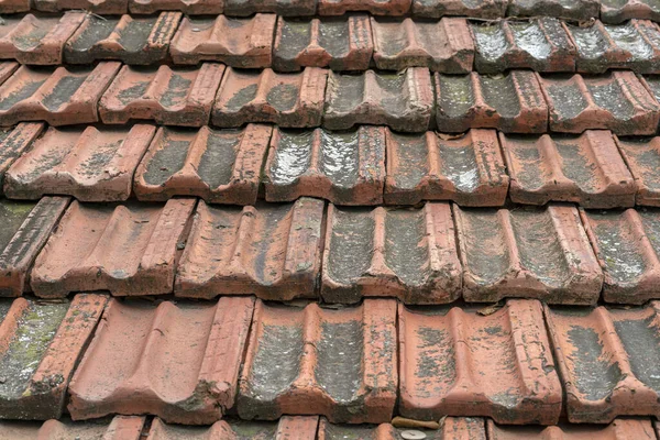 Photo Seamless Roof Texture Flat Red Shingles Embedded Line Patterns — Stock fotografie