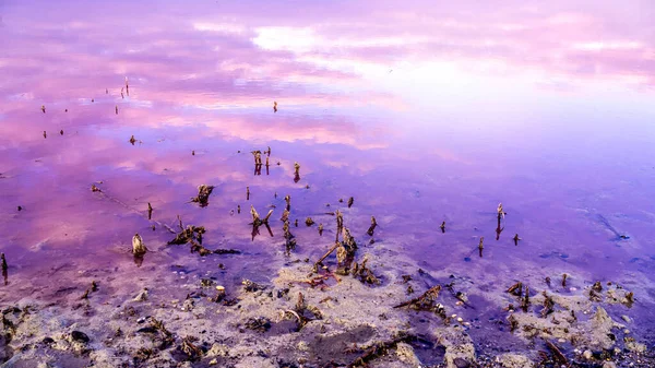 Lago Sasyk Sivash Con Agua Rosa Manchas Sal Pilares Imágenes de stock libres de derechos