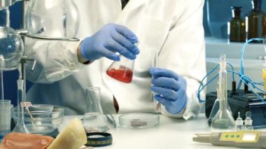 Laboratuvardaki dükkandaki ürünlerin analizi. Müfettiş peyniri zararlı katkı maddeleri için kontrol ediyor..