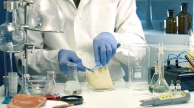 Laboratuvardaki dükkandaki ürünlerin analizi. Müfettiş peyniri zararlı katkı maddeleri için kontrol ediyor..