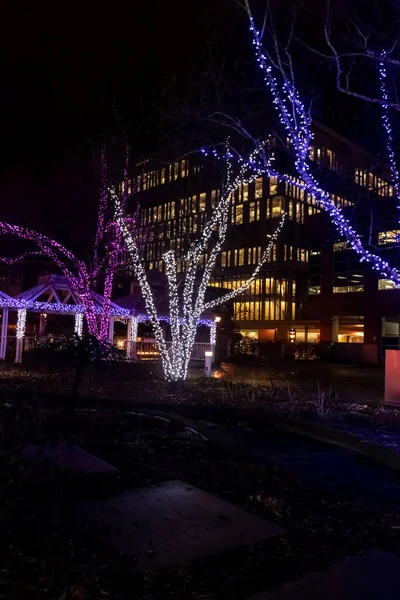 Geleneksel renkli Noel ışıklandırmasının arka planındaki modern binalar
