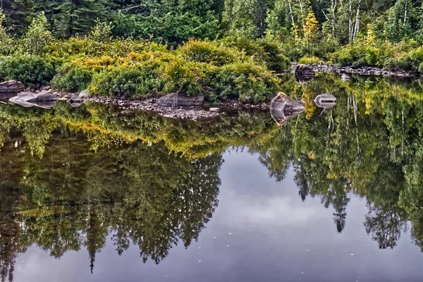 Rochas Árvores Arbustos Reflexão Completa Rio Atual Thunder Bay Canadá — Fotografia de Stock