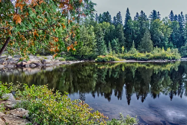 Des Feuilles Colorées Ajoutent Beauté Rivière Matin Thunder Bay Canada — Photo