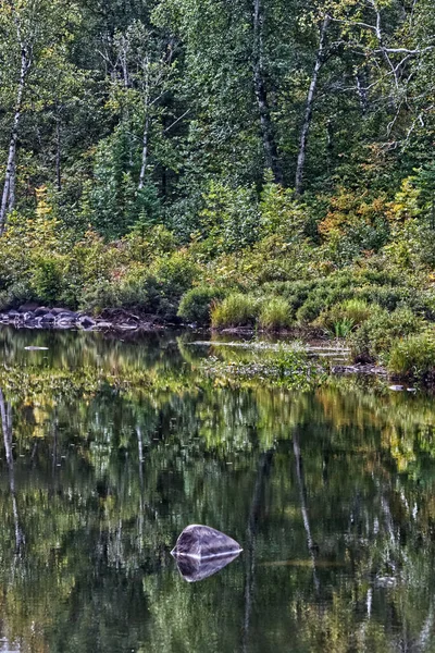 Roca Primer Plano Refleja Junto Con Bosque Thunder Bay Canadá — Foto de Stock