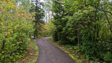 Şelalelere giden yol - Mevcut Nehir, Thunder Bay, ON, Kanada