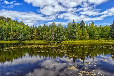 Parlak bir günde güzel gölü kucaklayan kablo hattı - Thunder Bay, Ontario, Kanada