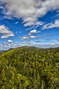 Gökyüzü ve orman arasında açık bir bölüm - Thunder Bay, Ontario, Kanada