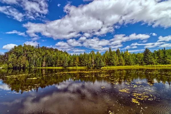 カナダオンタリオ州サンダーベイ 藻類はキャニオンの近くの静かな湖に浮かんでいます — ストック写真