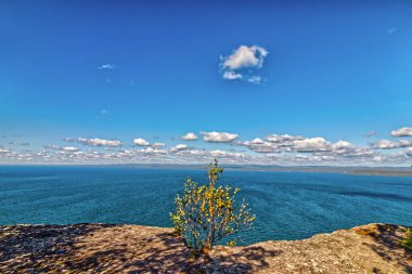 Büyük göle bakan kayanın üstündeki ağaç - SG PP, Thunder Bay, Ontario, Kanada