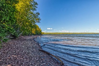 Bitki örtüsü araziye hakim olmaya çalışıyor - SG PP, Thunder Bay, Ontario, Kanada