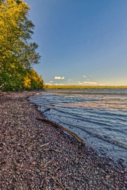 Akşam güneşi ağaçlara vuruyor - SG PP, Thunder Bay, Ontario, Kanada