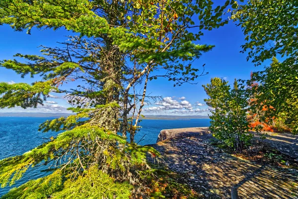 加拿大安大略省雷湾苏必利尔湖附近美丽的秋天色彩 — 图库照片