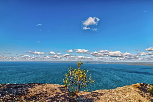 Büyük göle bakan kayanın üstündeki ağaç - SG PP, Thunder Bay, Ontario, Kanada
