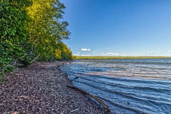 Bitki örtüsü araziye hakim olmaya çalışıyor - SG PP, Thunder Bay, Ontario, Kanada