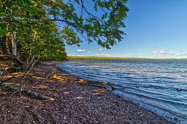 Хвилі Намагаються Поцілувати Дерева Thunder Bay Ontario Canada — стокове фото