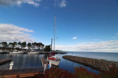 Yükseklerde süzülen kuşlar - Thunder Bay Marina, Ontario, Kanada