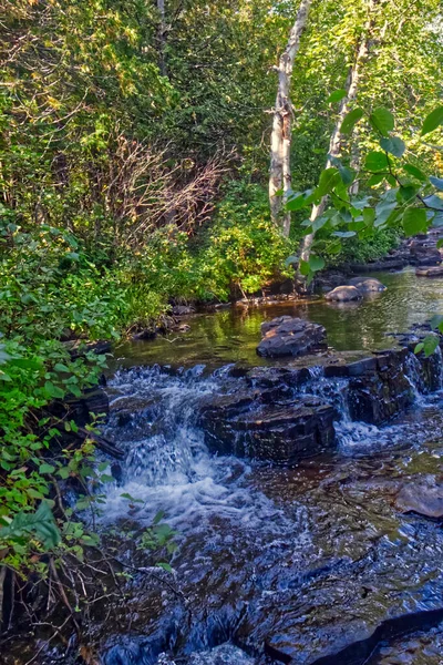 Exuberante Vegetación Orillas Del Río Trowbridge Falls Thunder Bay Canadá — Foto de Stock