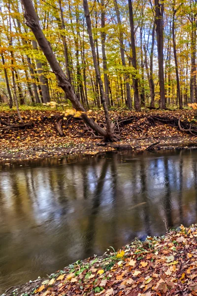 Stroom Van Rivier Herfst Wordt Tegengehouden Door Langdurige Blootstelling Val — Stockfoto