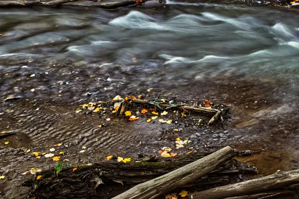 Золотые Листья Укрываются Суше Река Плывет Дико Осень Центральном Онтарио — стоковое фото