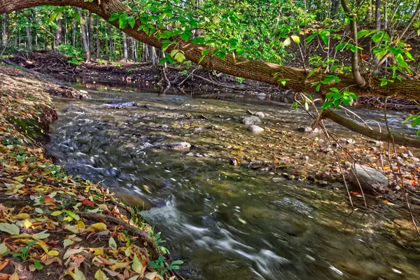 Strömender Fluss Macht Eine Gabel Mit Wunderschönem Herbstlaub Herbst Central — Stockfoto