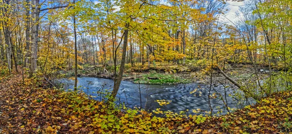 Panoráma Gyönyörű Fletcher Creek Ősszel Tejes Áramlatok Mississauga Kanada — Stock Fotó