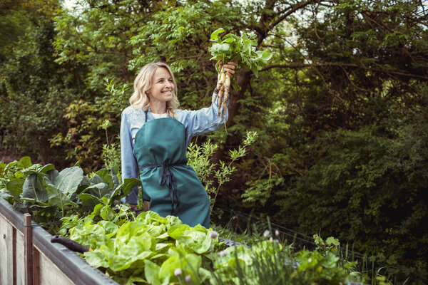 young beautiful blonde woman harvesting horseradish in the garden