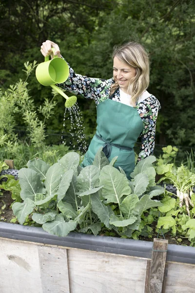 Молодая Блондинка Поливает Овощи Саду Небольшой Зеленой Лейкой — стоковое фото