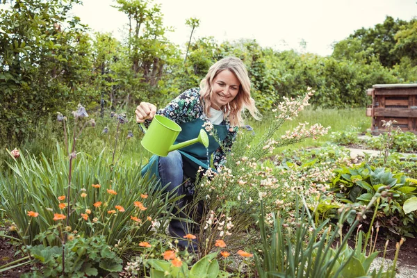 可愛いブロンドの庭師花と庭で働いて緑の仕事エプロンを身に着けて — ストック写真