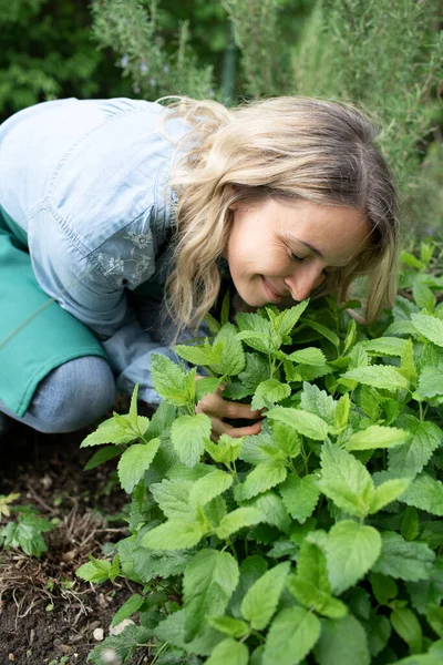 Молодая Блондинка Собирает Травы Своем Саду — стоковое фото