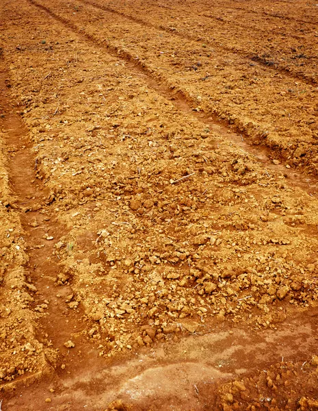 Campo recentemente arado — Fotografia de Stock