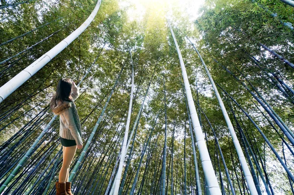 Looking at the bamboo forest — Stock Photo, Image