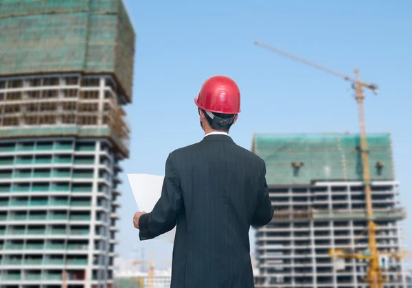 Architect looking comparing housing project — Stock Photo, Image