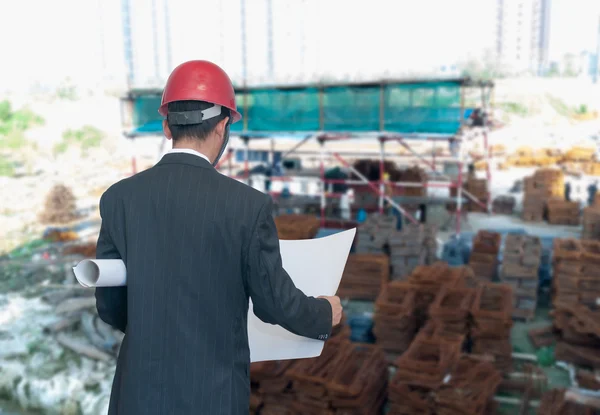 Architect looking comparing housing project — Stock Photo, Image