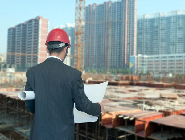 Architect looking comparing housing project — Stock Photo, Image