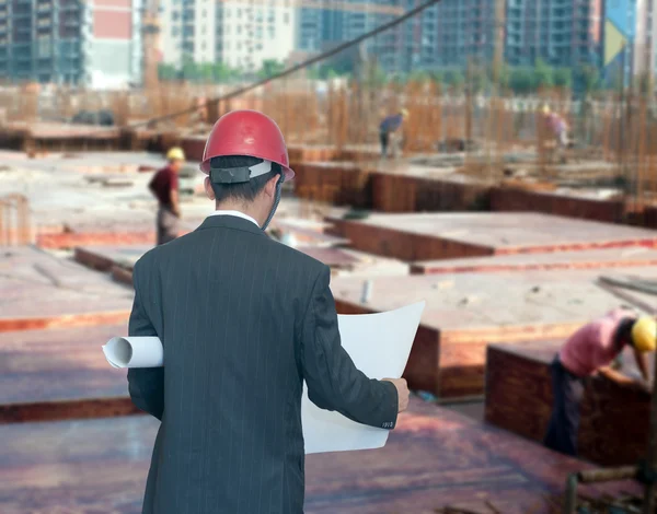 Architect looking comparing housing project — Stock Photo, Image