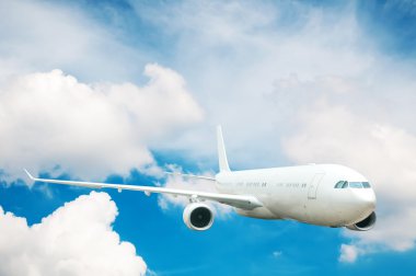 Büyük yolcu uçağı