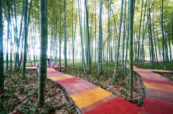 Путь в бамбуковые леса
