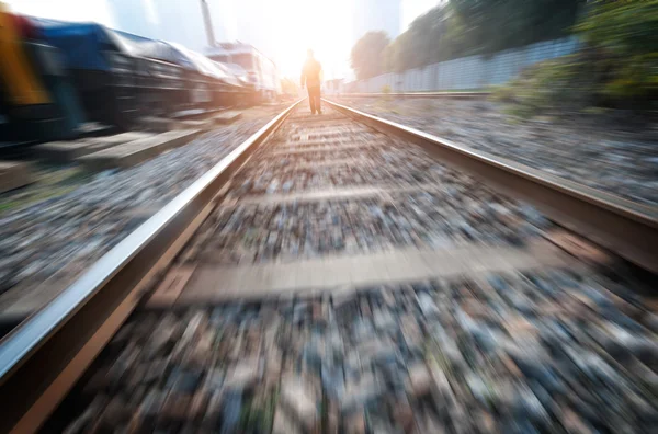 Ferrovia nel parco — Foto Stock